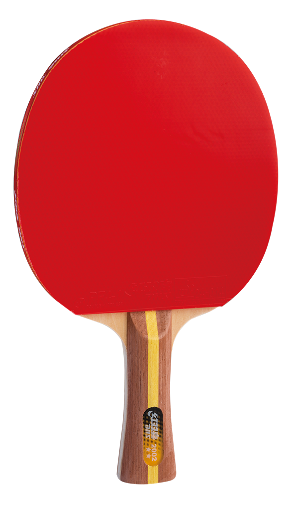 DHS Fertigschläger H2002  - DXES017-1