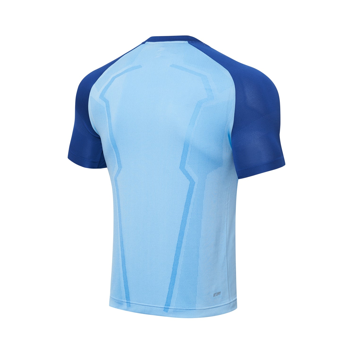 Tischtennis Unisex Wettkampf-Dress "Base" (Set aus Shirt und Shorts) hellblau + blau - AATT003-2