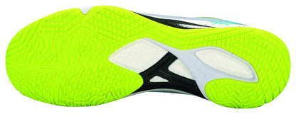 Unisex Badmintonschuh Eagle V schwarz - AYAS026-2