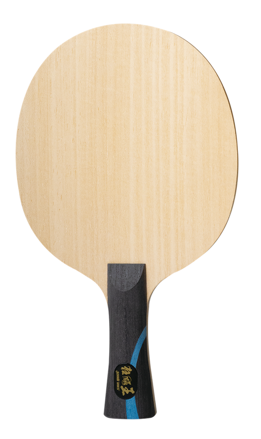 DHS Hurricane 301-L Holz (CS) - DXCM005-1